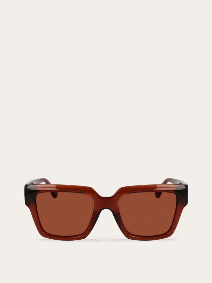 Ferragamo | Women's Sunglasses - Transparent Brown/Brown