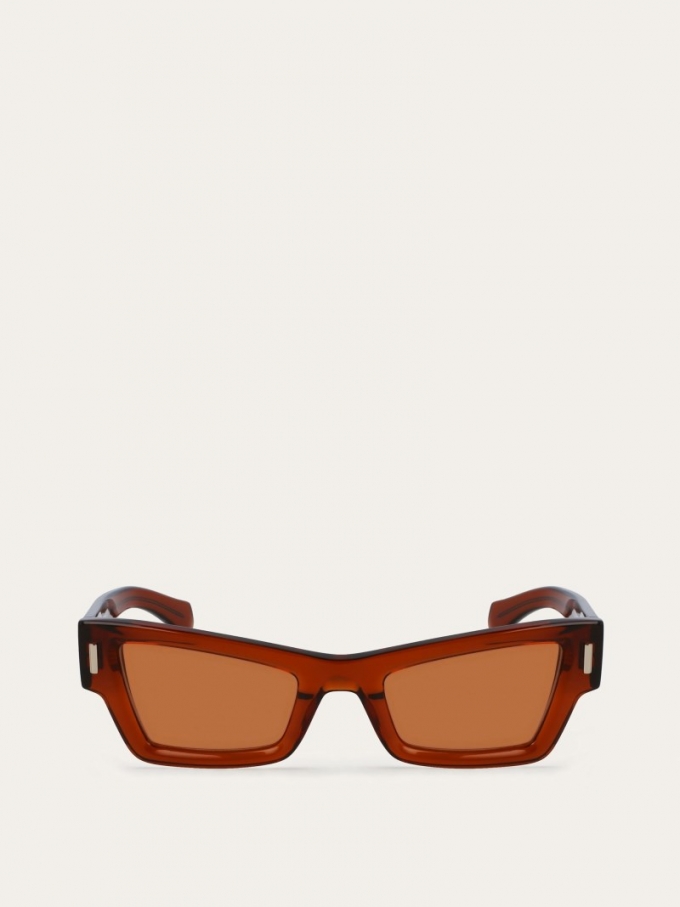 Ferragamo | Women's Sunglasses - Transparent Brown/Light Brown